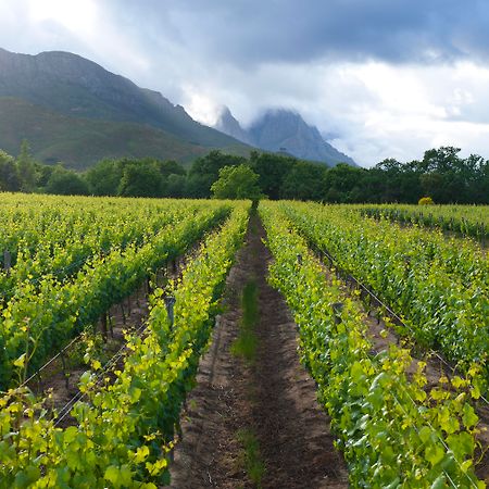 Lanzerac Hotel & Spa Stellenbosch Zewnętrze zdjęcie