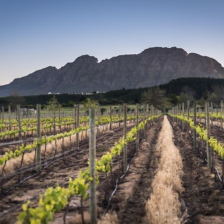 Lanzerac Hotel & Spa Stellenbosch Zewnętrze zdjęcie
