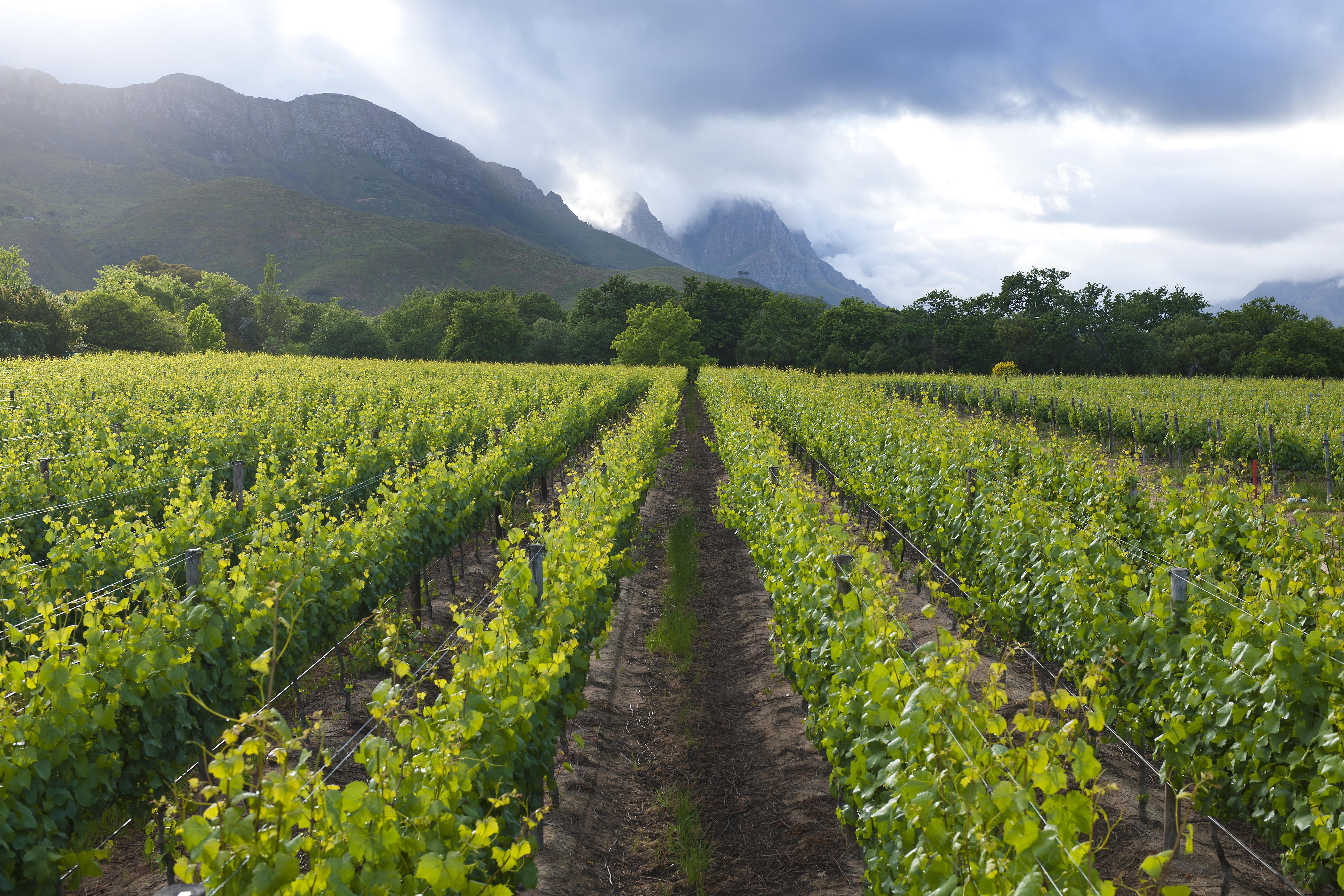 Lanzerac Hotel & Spa Stellenbosch Zewnętrze zdjęcie