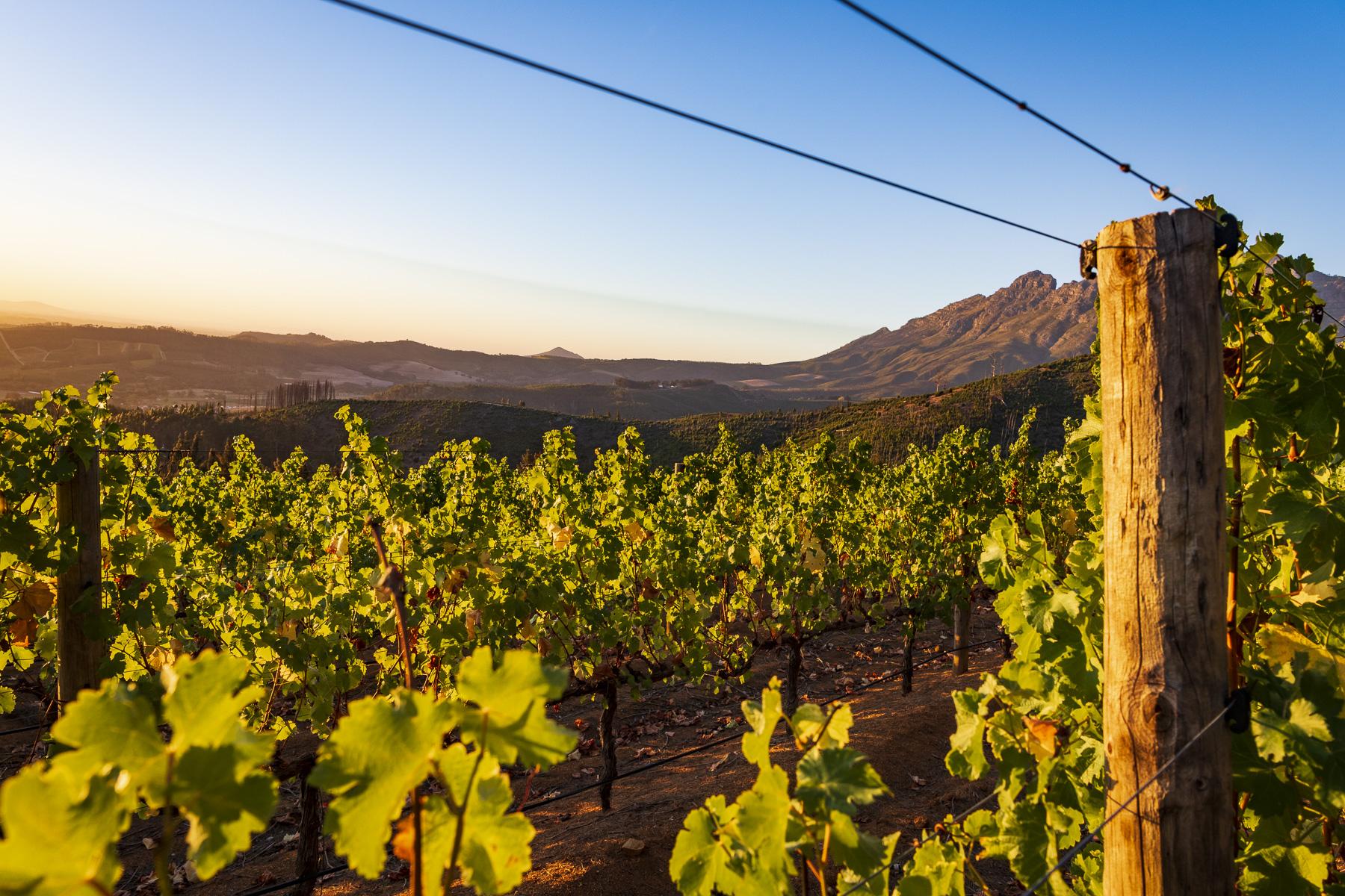 Lanzerac Hotel & Spa Stellenbosch Zewnętrze zdjęcie