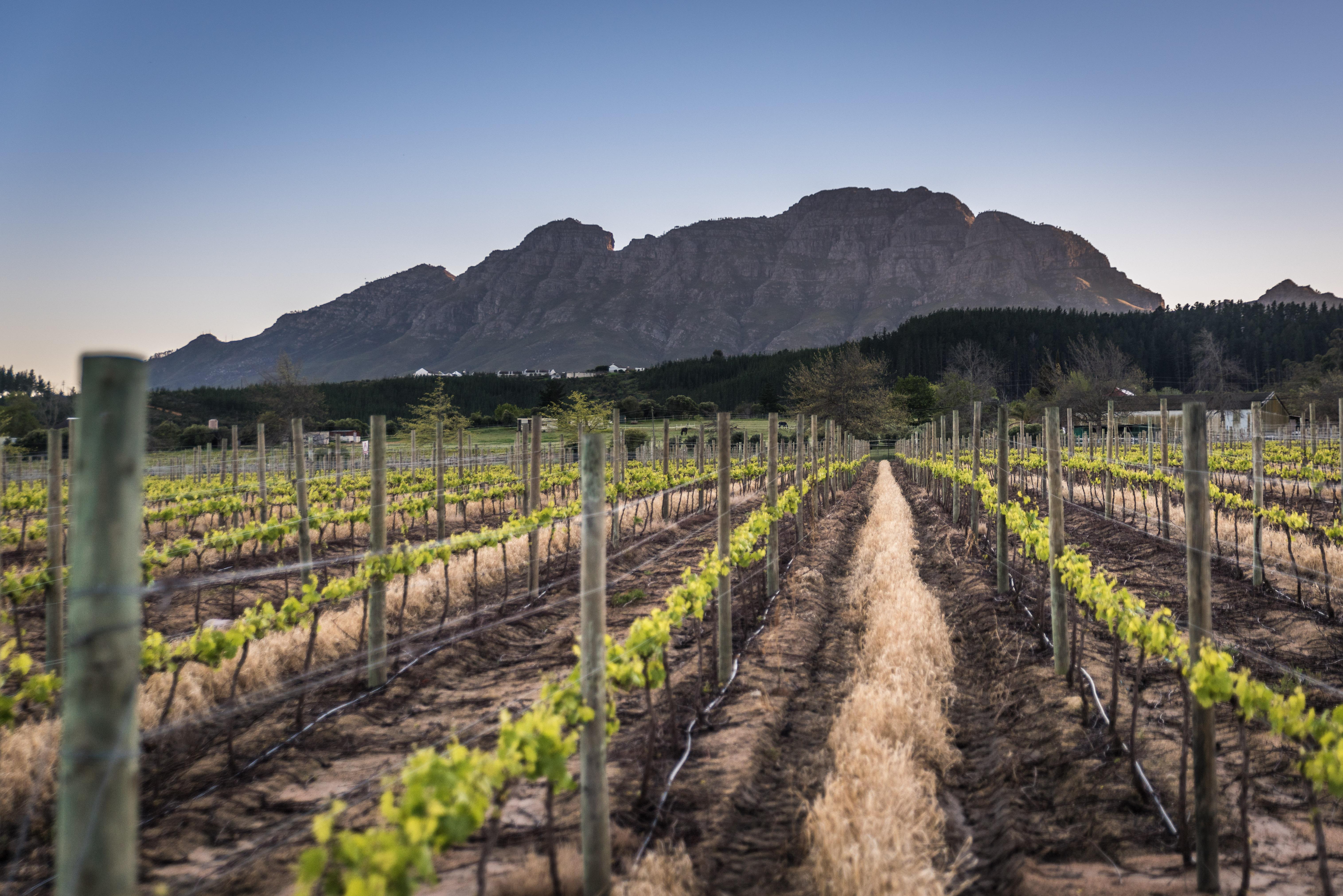 Lanzerac Hotel & Spa Stellenbosch Zewnętrze zdjęcie