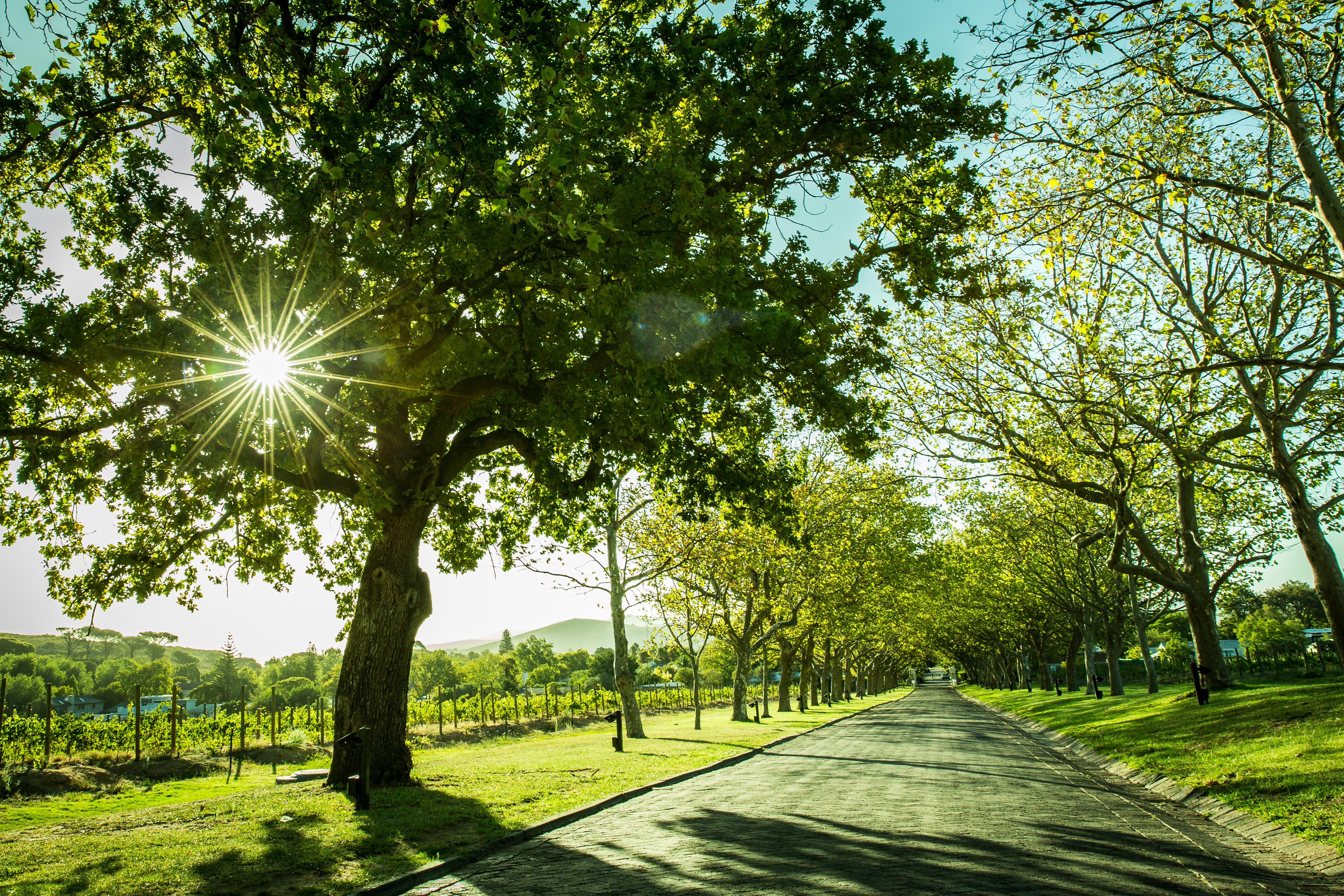 Lanzerac Hotel & Spa Stellenbosch Zewnętrze zdjęcie