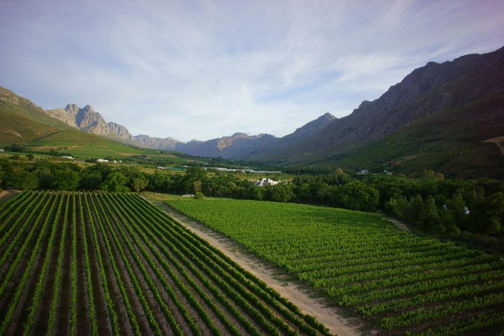 Lanzerac Hotel & Spa Stellenbosch Zewnętrze zdjęcie